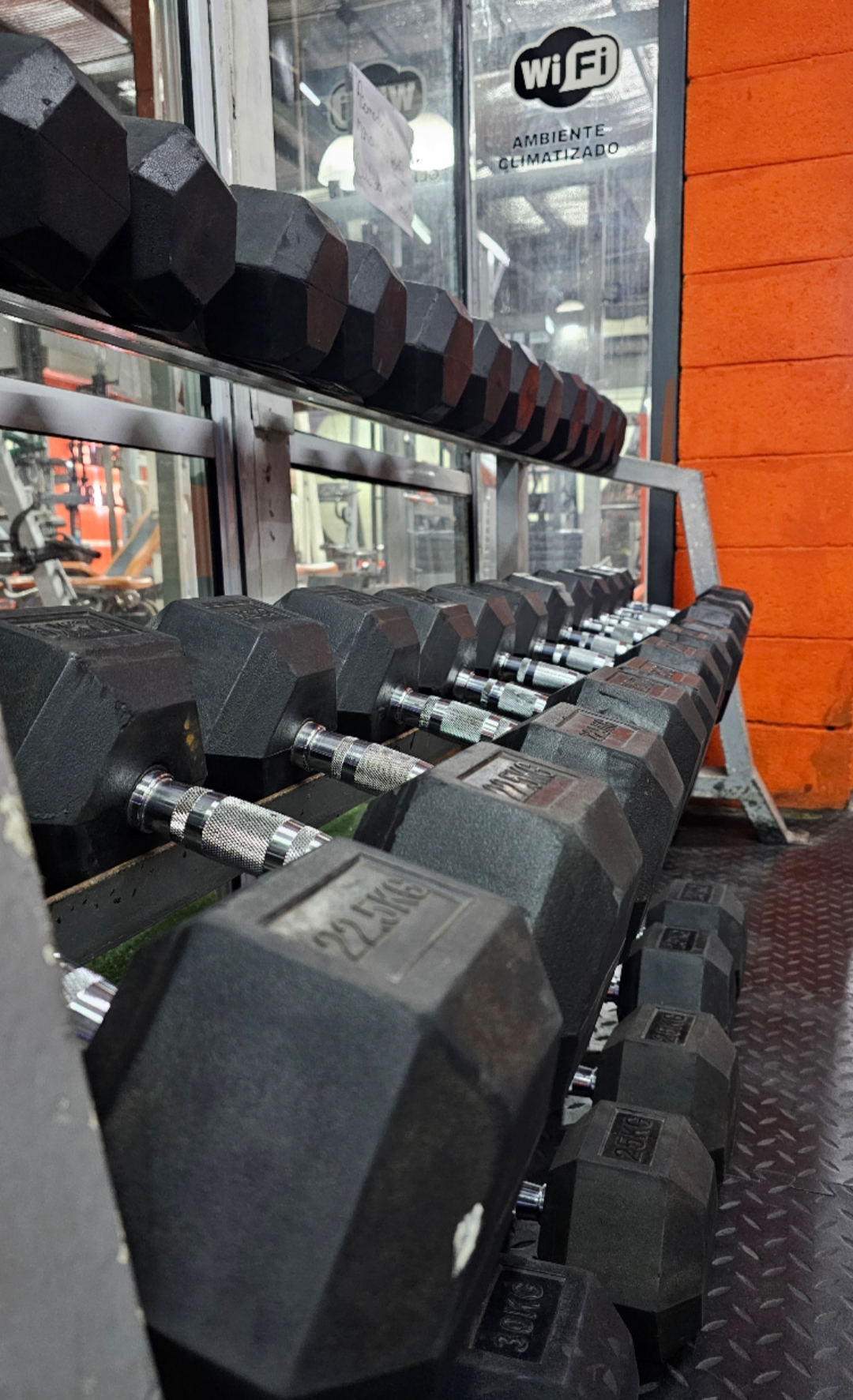 Sector de mancuernas de Silber Fit